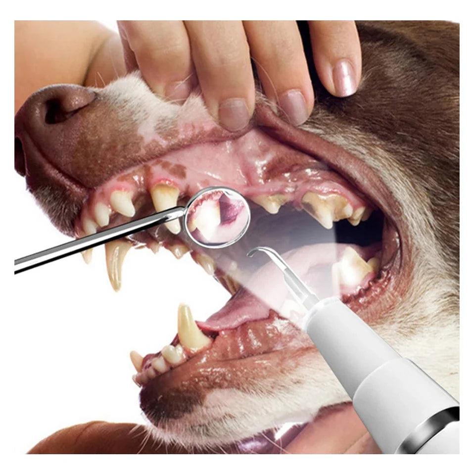 Dog Cat Grooming Smart Dental Ultrasonic Scaler Household Tooth Stone Remover Tooth CleanerTooth Whitening Oral Cleaning Tools