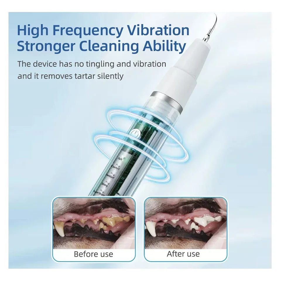 Dog Cat Grooming Smart Dental Ultrasonic Scaler Household Tooth Stone Remover Tooth CleanerTooth Whitening Oral Cleaning Tools