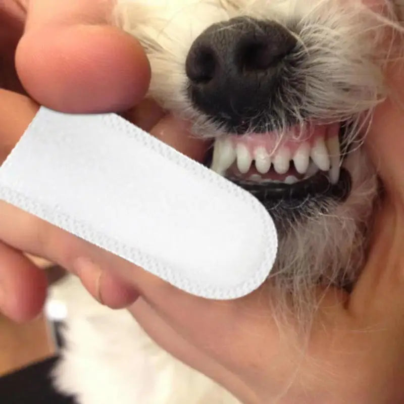 50Pcs Presoaked Dog Toothbrushes Soft Pet Fingers Toothbrush Dog Cat Cotton Brush Teeth Oral Cleaning Kitten Effective Care